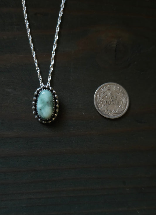 Paloma Varascite and sterling silver necklace